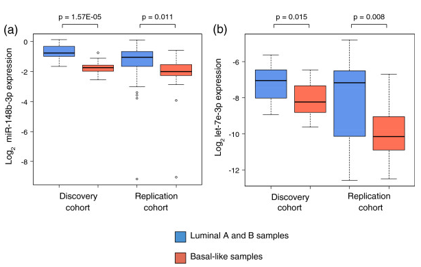 Figure 3. miRNA expression in luminal and basal-like patients. miRNA expression when patients were divided into luminal and basal-like subgroups in the discovery and replication cohort. (a) miR-148b-3p expression, (b) let-7e-3p expression. The P-values are from Wilcoxon rank-sum tests.